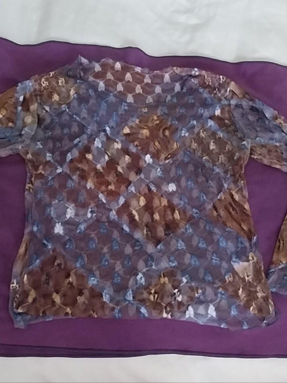 Sheer Long-Sleeve Mesh Top in Blue and Brown - Picture 4 of 9